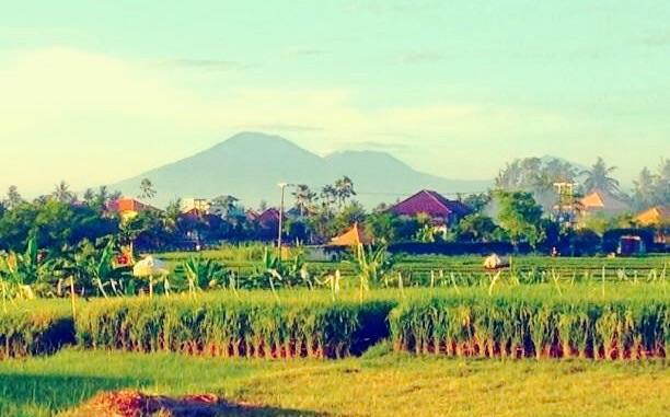The Hideaway Canggu Εξωτερικό φωτογραφία